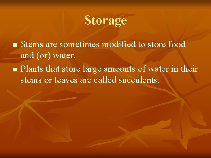 Storage n n Stems are sometimes modified to store food and (or) water. Plants