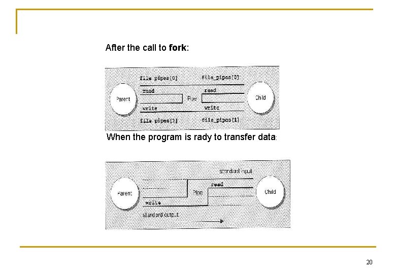 After the call to fork: When the program is rady to transfer data: 20