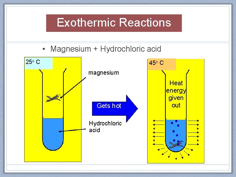 Exothermic Reactions • Magnesium + Hydrochloric acid 25 o C 45 o C magnesium