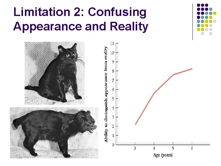 Limitation 2: Confusing Appearance and Reality Limitation 2: Confusing Appearance and Reality