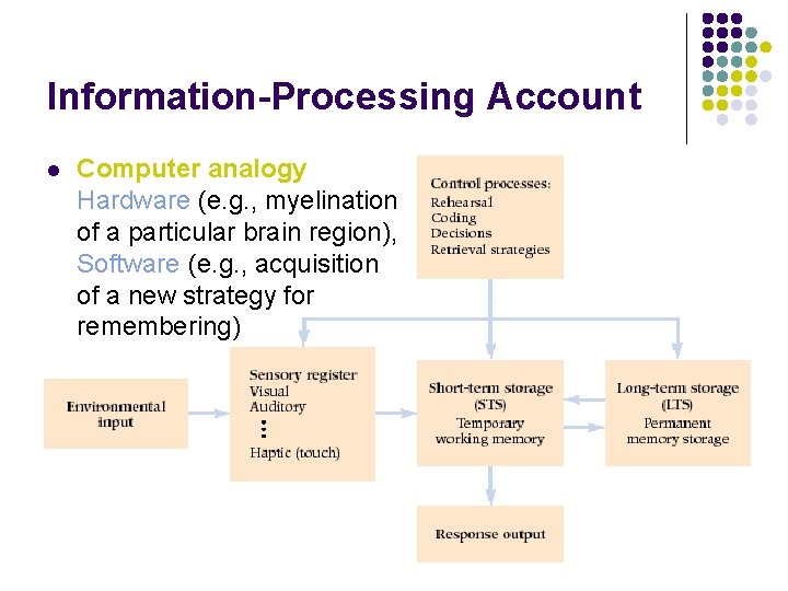 Information-Processing Account l Computer analogy Hardware (e. g. , myelination of a particular brain Information-Processing Account l Computer analogy Hardware (e. g. , myelination of a particular brain