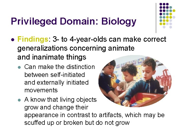 Privileged Domain: Biology l Findings: 3 - to 4 -year-olds can make correct generalizations Privileged Domain: Biology l Findings: 3 - to 4 -year-olds can make correct generalizations
