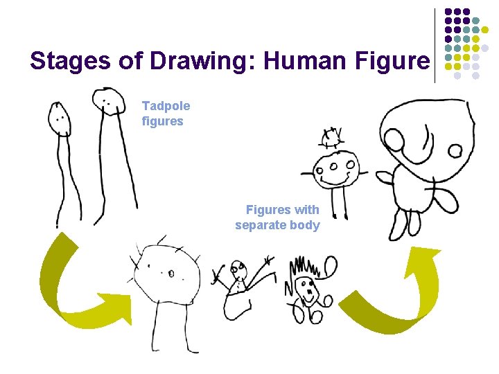 Stages of Drawing: Human Figure Tadpole figures Figures with separate body Stages of Drawing: Human Figure Tadpole figures Figures with separate body