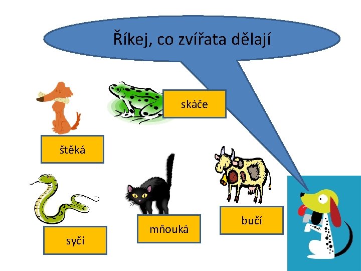 Říkej, co zvířata dělají skáče štěká syčí mňouká bučí 