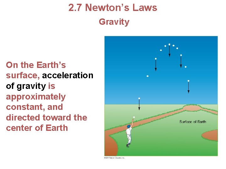 2. 7 Newton’s Laws Gravity On the Earth’s surface, acceleration of gravity is approximately