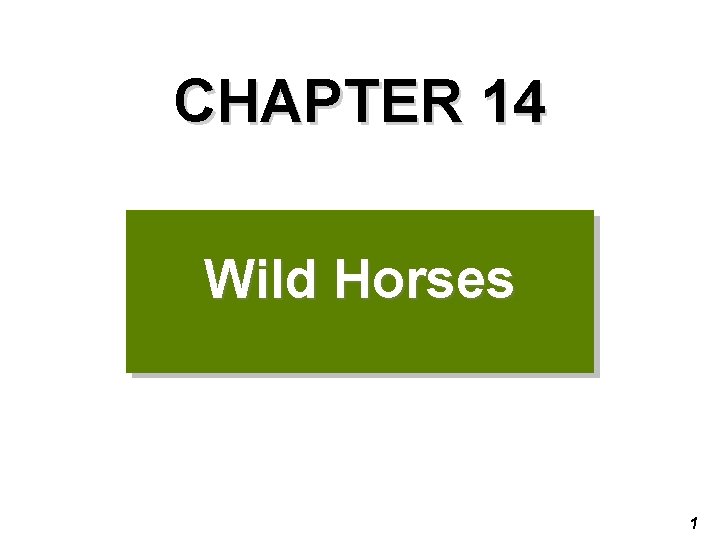 CHAPTER 14 Wild Horses 1 