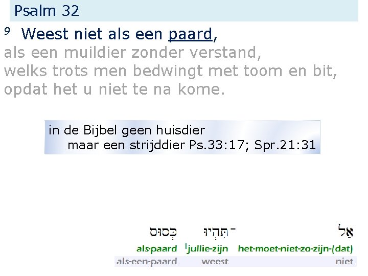 Psalm 32 Weest niet als een paard, als een muildier zonder verstand, welks trots