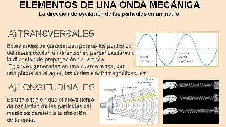 ELEMENTOS DE UNA ONDA MECÁNICA La dirección de oscilación de las partículas en un