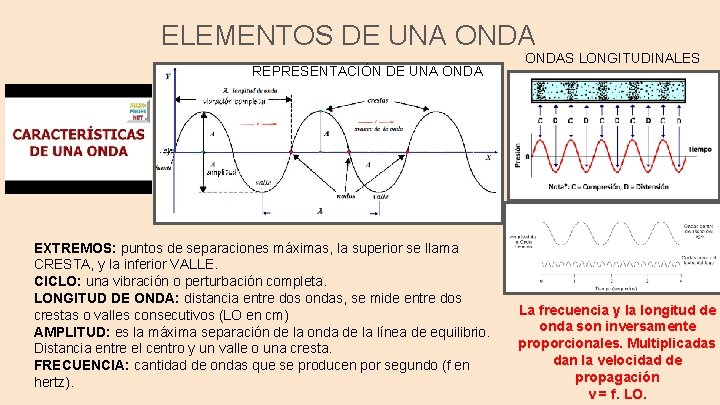 ELEMENTOS DE UNA ONDA REPRESENTACIÓN DE UNA ONDA EXTREMOS: puntos de separaciones máximas, la