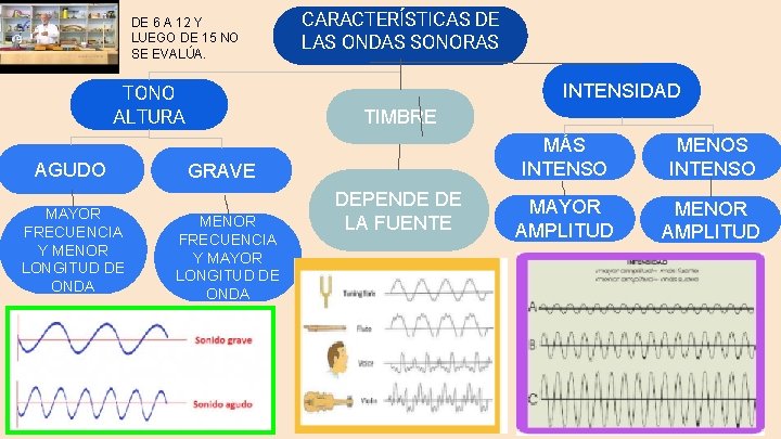 DE 6 A 12 Y LUEGO DE 15 NO SE EVALÚA. INTENSIDAD TONO ALTURA