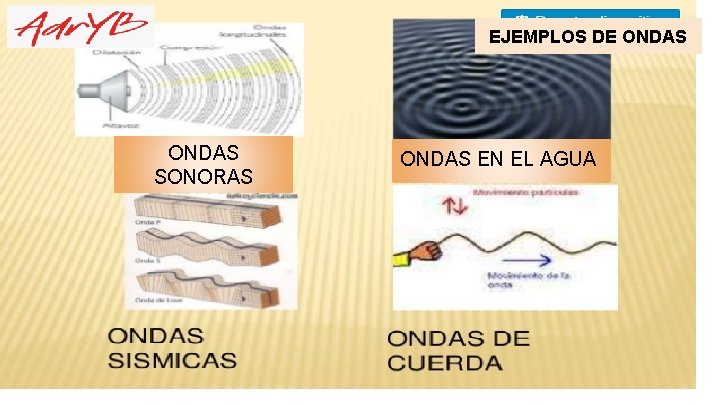 EJEMPLOS DE ONDAS SONORAS ONDAS EN EL AGUA 