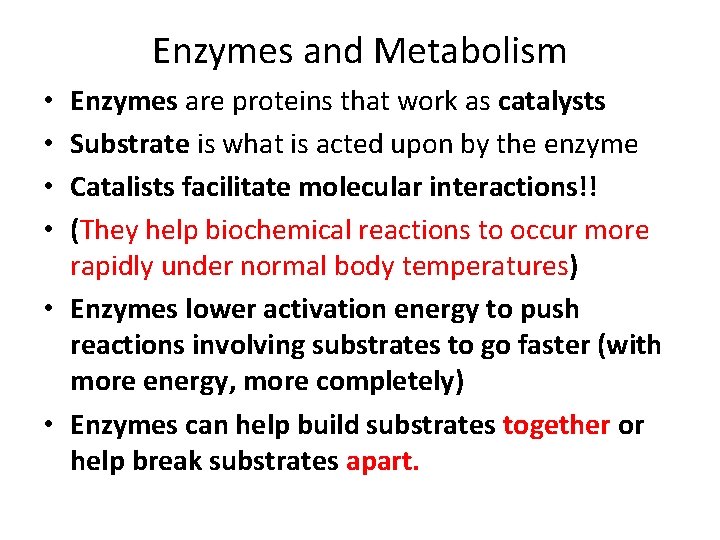 Enzymes and Metabolism Enzymes are proteins that work as catalysts Substrate is what is