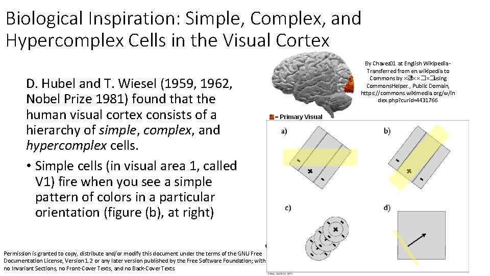 Hypercomplex Cell Lecture 27 Neural Networks and Deep Learning Mark