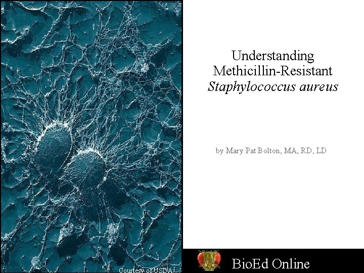 Understanding Methicillin-Resistant Staphylococcus aureus by Mary Pat Bolton, MA, RD, LD Courtesy of USDA