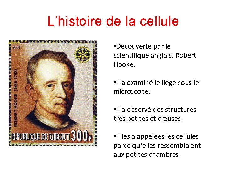 L’histoire de la cellule • Découverte par le scientifique anglais, Robert Hooke. • Il