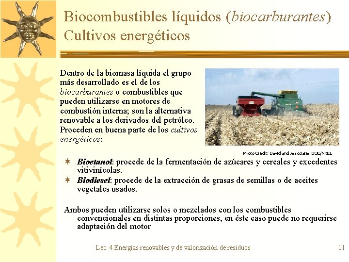 Biocombustibles líquidos (biocarburantes) Cultivos energéticos Dentro de la biomasa líquida el grupo más desarrollado