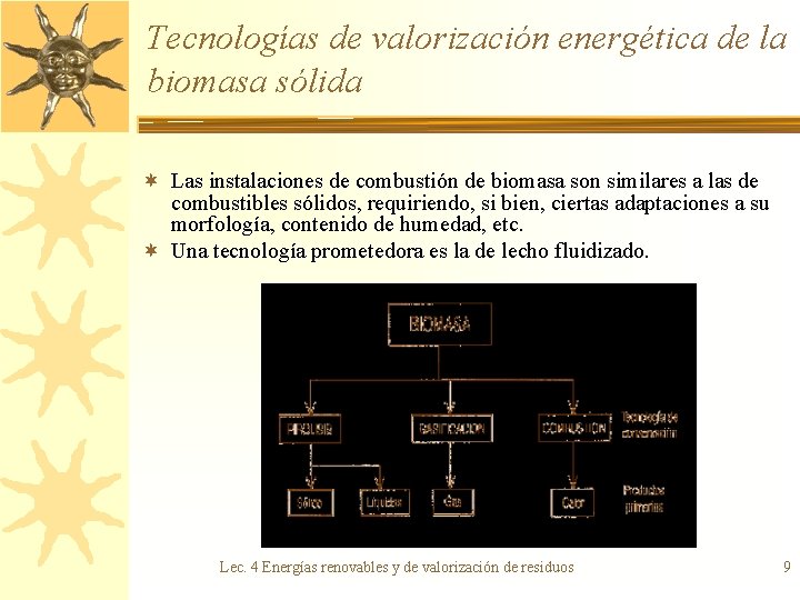 Tecnologías de valorización energética de la biomasa sólida ¬ Las instalaciones de combustión de