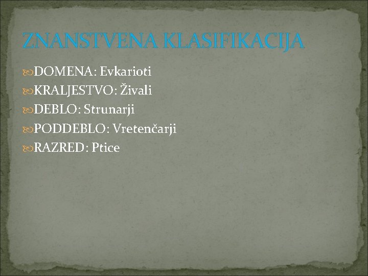 ZNANSTVENA KLASIFIKACIJA DOMENA: Evkarioti KRALJESTVO: Živali DEBLO: Strunarji PODDEBLO: Vretenčarji RAZRED: Ptice 