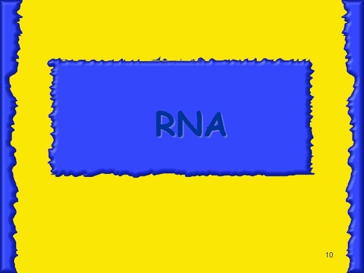 RNA 10 