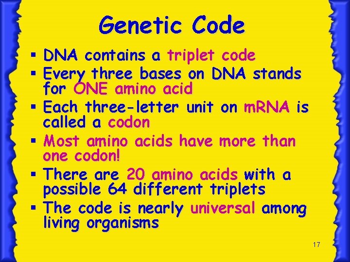 Genetic Code § DNA contains a triplet code § Every three bases on DNA