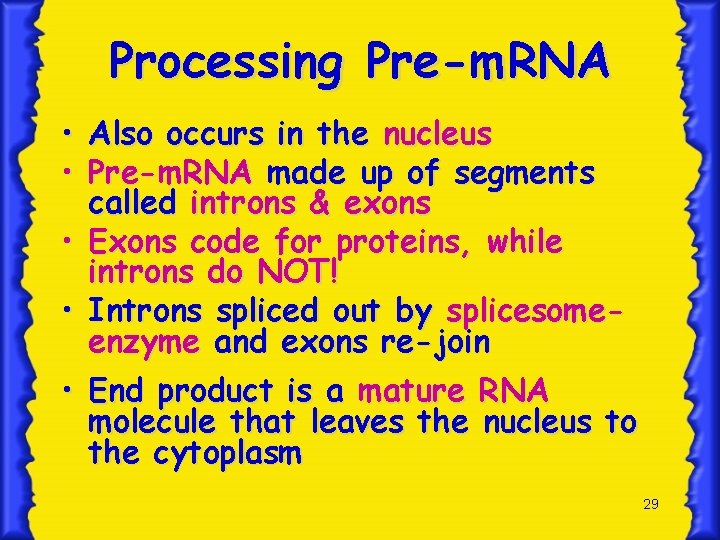 Processing Pre-m. RNA • Also occurs in the nucleus • Pre-m. RNA made up