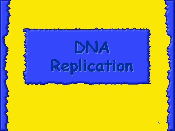 DNA Replication 6 