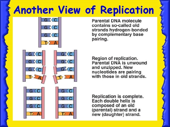 Another View of Replication 9 