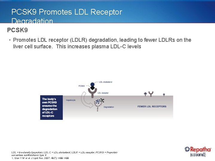 PCSK 9 Promotes LDL Receptor Degradation PCSK 9 • Promotes LDL receptor (LDLR) degradation,