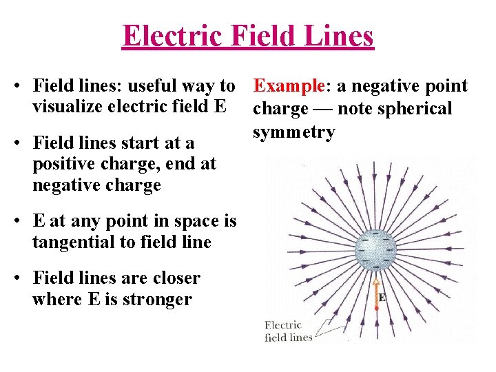 Electric Field Lines • Field lines: useful way to Example: a negative point visualize
