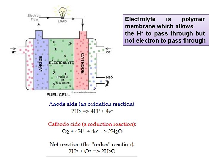 Electrolyte is polymer membrane which allows the H+ to pass through but not electron