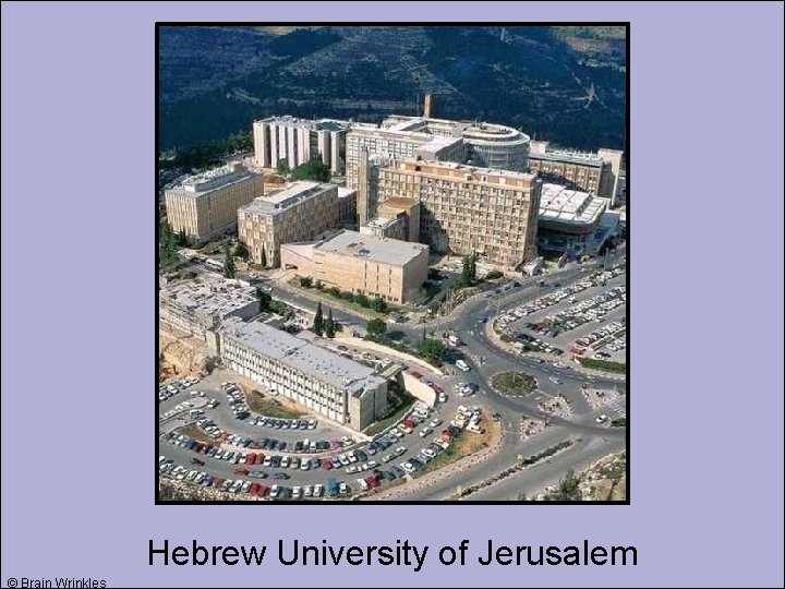 Hebrew University of Jerusalem © Brain Wrinkles 