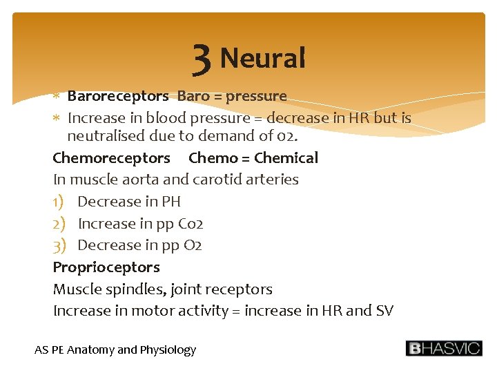 3 Neural Baroreceptors Baro = pressure Increase in blood pressure = decrease in HR