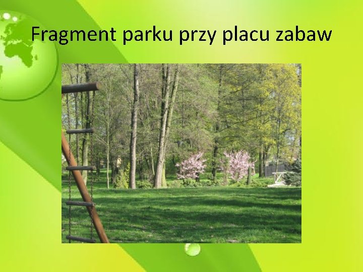 Fragment parku przy placu zabaw 