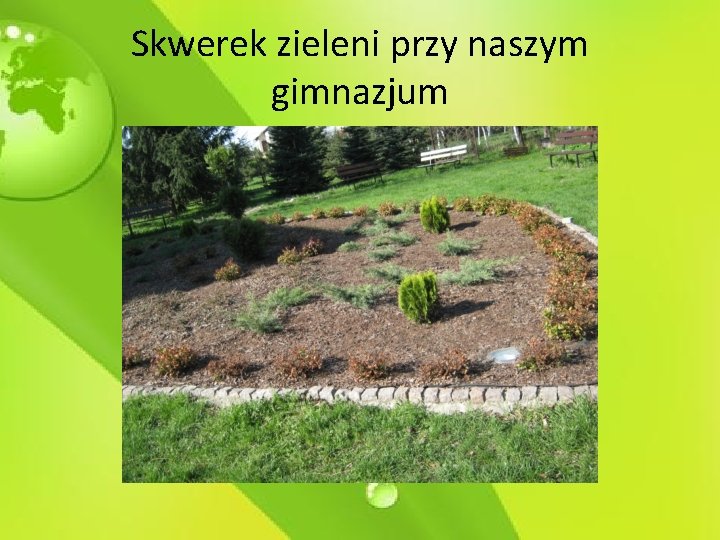 Skwerek zieleni przy naszym gimnazjum 
