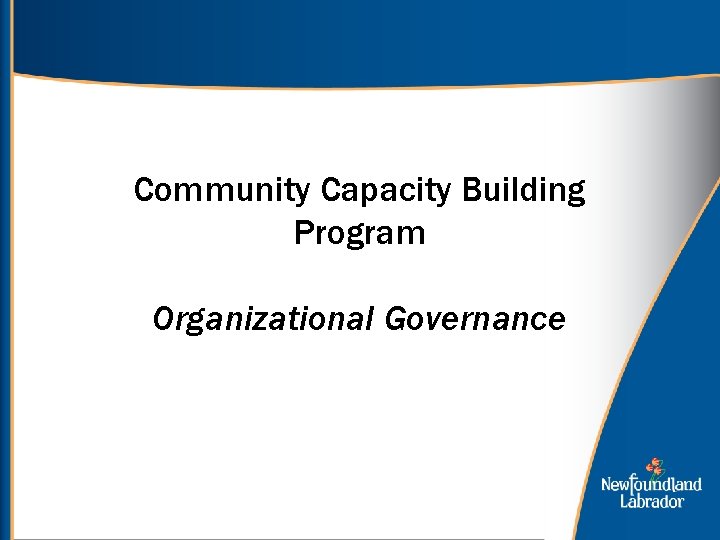 Community Capacity Building Program Organizational Governance 