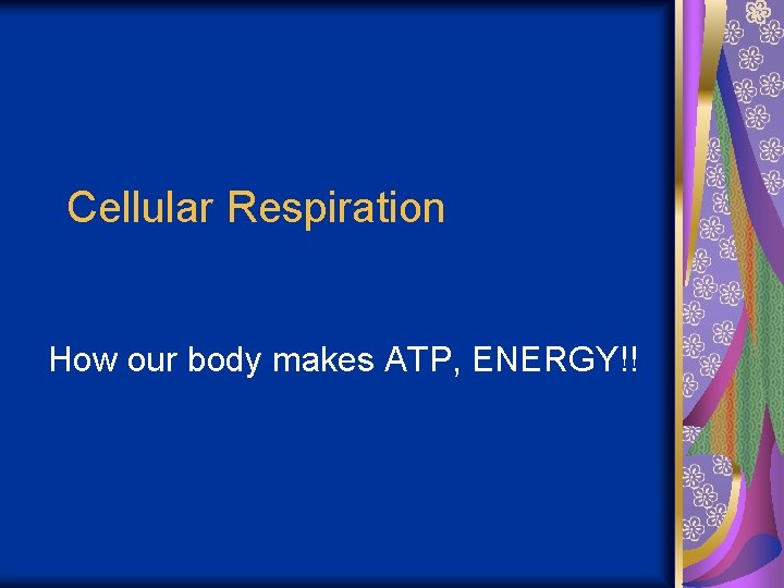 Cellular Respiration How our body makes ATP, ENERGY!! 