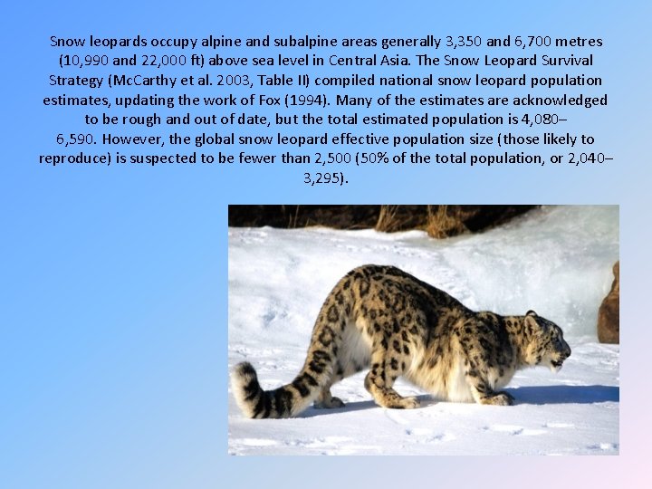 Snow leopards occupy alpine and subalpine areas generally 3, 350 and 6, 700 metres