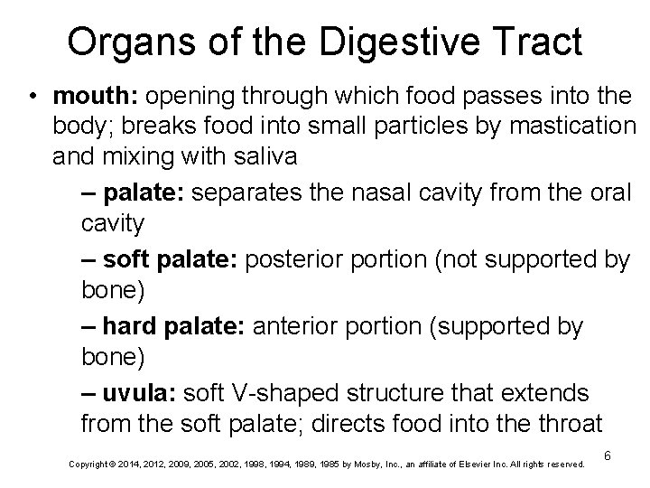 Organs of the Digestive Tract • mouth: opening through which food passes into the