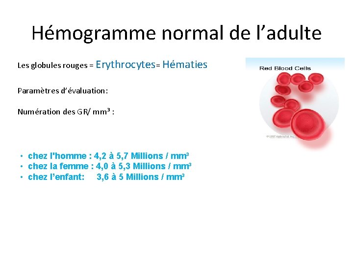 Hémogramme normal de l’adulte Les globules rouges = Erythrocytes= Hématies Paramètres d’évaluation: Numération des