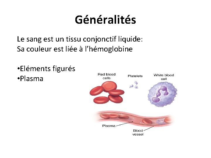 Généralités Le sang est un tissu conjonctif liquide: Sa couleur est liée à l’hémoglobine