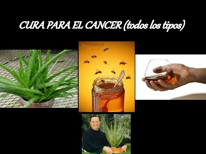 Receta Para Curar Cancer Sacerdote Franciscano slidetodoc.com