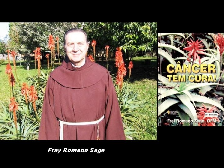 Fray Romano Sago Fray Romano Sago