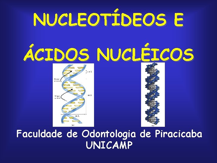 NUCLEOTÍDEOS E ÁCIDOS NUCLÉICOS Faculdade de Odontologia de Piracicaba UNICAMP 