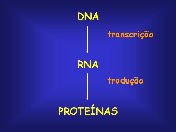 DNA transcrição RNA tradução PROTEÍNAS 