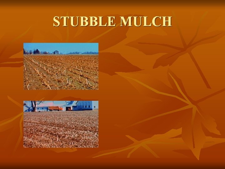 STUBBLE MULCH 
