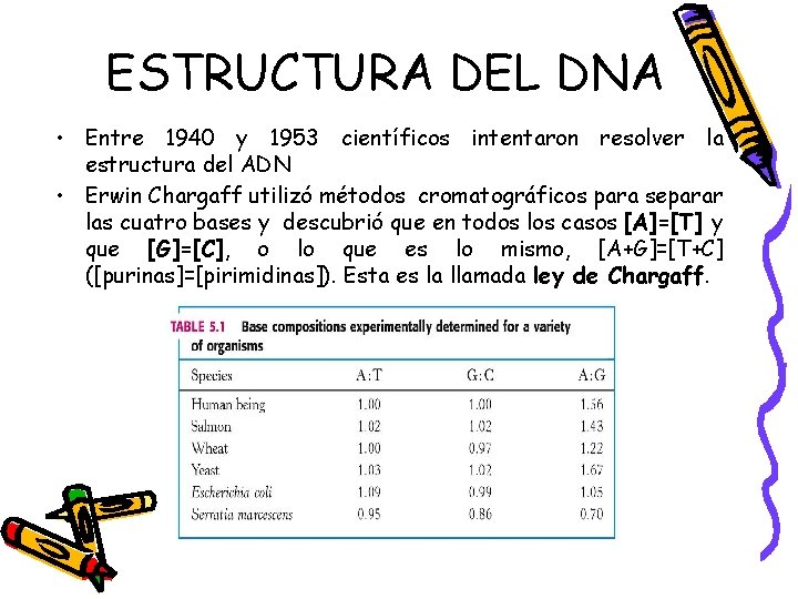 ESTRUCTURA DEL DNA • Entre 1940 y 1953 científicos intentaron resolver la estructura del