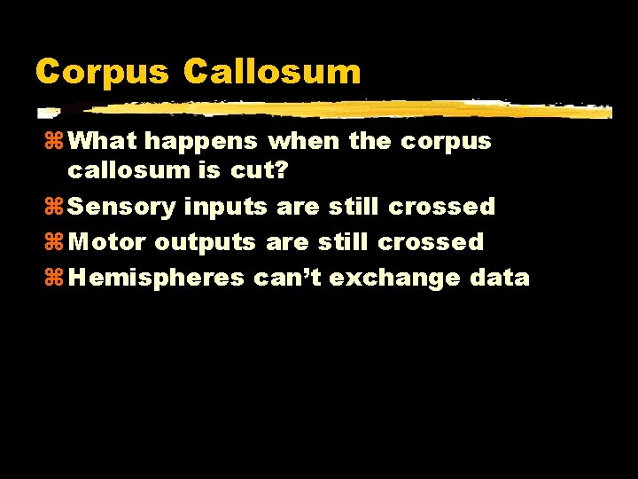 Corpus Callosum What happens when the corpus callosum is cut? Sensory inputs are still