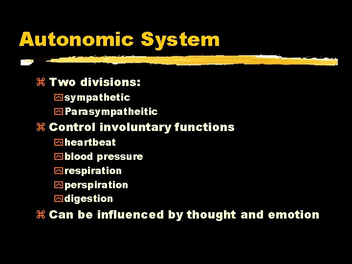 Autonomic System Two divisions: y sympathetic y Parasympatheitic Control involuntary functions y heartbeat y