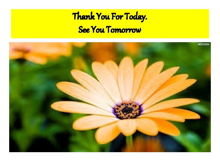 Thank You For Today. See You Tomorrow 