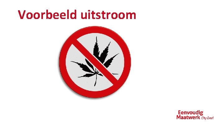 Voorbeeld uitstroom 